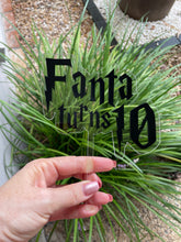 Load image into Gallery viewer, Cake Toppers
